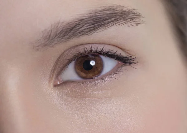 Brown eye of an attractive young woman