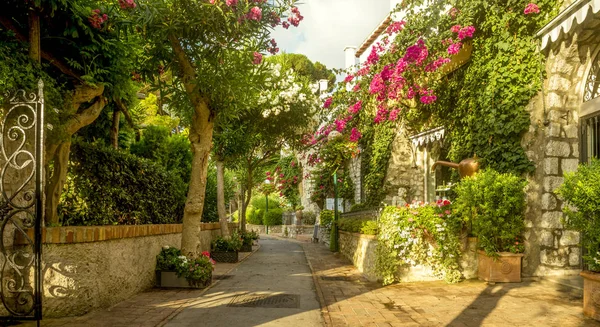 Hermoso callejón lleno de árboles y flores en la isla de Capri, Italia — Foto de Stock