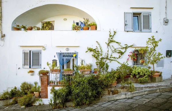 Tradisjonelle italienske hus på Procida Island i Italia – stockfoto