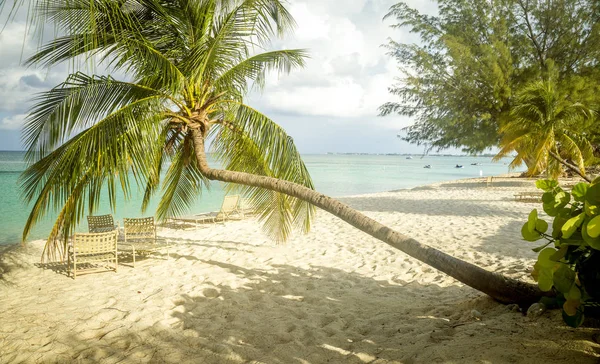 Seven Mile Beach en la isla de Gran Caimán, Islas Caimán — Foto de Stock