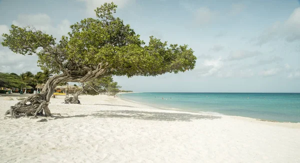 Eagle Beach na wyspie Aruba — Zdjęcie stockowe