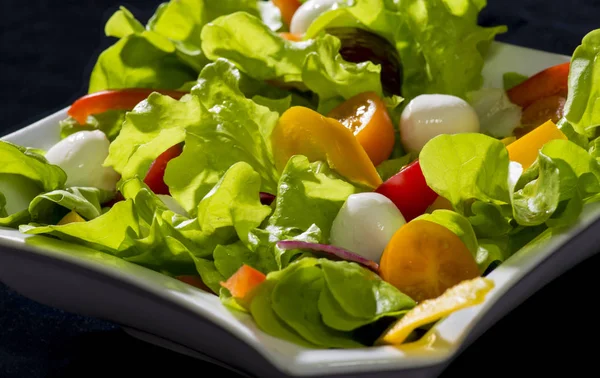 Friss növényi saláta elszigetelt fekete háttér — Stock Fotó