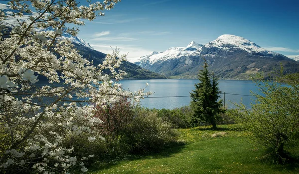 Panorama van Nordfjord in de lente, Noorwegen — Stockfoto