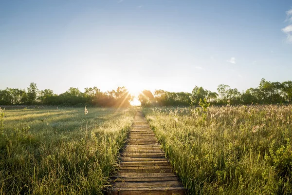 Houten pier in Biebrza Nationaal Park, Polen — Stockfoto