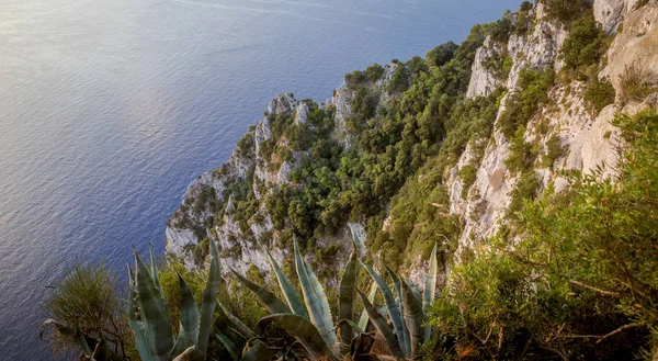 Panorama klifu na wyspie Capri, Włochy — Zdjęcie stockowe