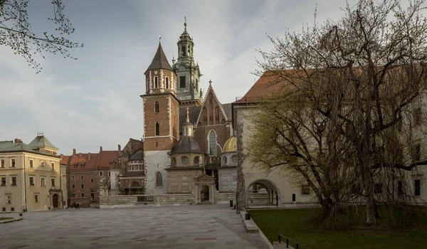 Catedral Del Castillo Wawel Cracovia Polonia — Foto de Stock