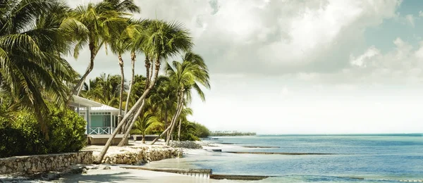 Panorama avec bungalow en bord de mer sous les palmiers — Photo