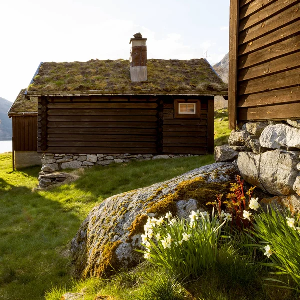 Ідилічному природа Норвегії — стокове фото