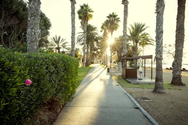 Promenad i Paphos, Cypern — Stockfoto