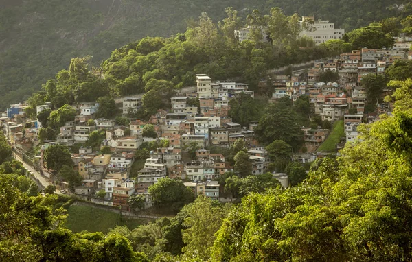 Favela Cosme Velho Cidade Rio Janeiro Brasil — Fotografia de Stock