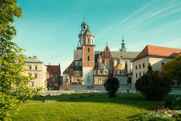 Polonya Nın Krakow Şehrindeki Wawel Kalesi Katedrali Panoraması — Stok fotoğraf