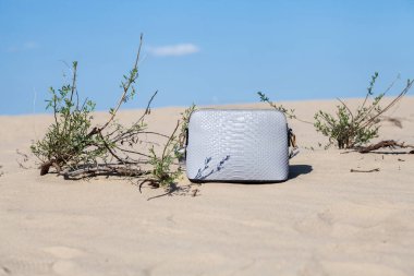 güzel bayan çanta.