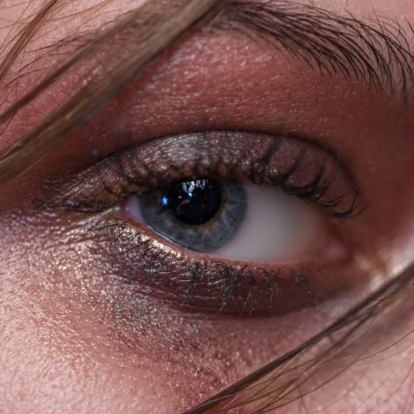 Hermoso maquillaje ojo marrón . —  Fotos de Stock