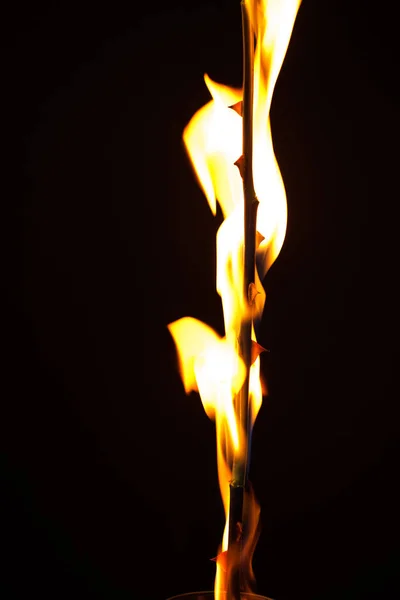 火の花と美しい絵 — ストック写真