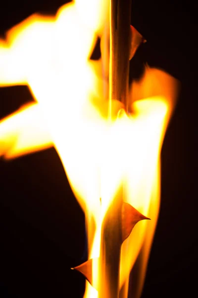 Schönes Bild Mit Einer Schönen Blume Flammen — Stockfoto