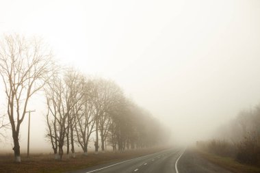 Fotoğraf İran 'da seyahat ederken çekildi.