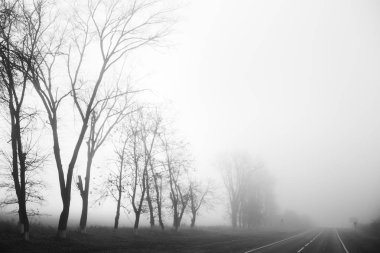 Fotoğraf İran 'da seyahat ederken çekildi.