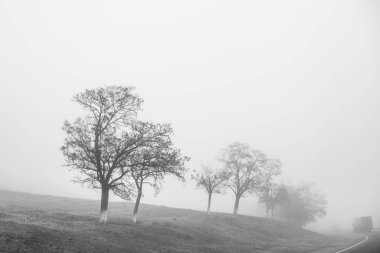 Fotoğraf İran 'da seyahat ederken çekildi.