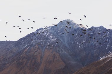 Fotoğraf İran 'da seyahat ederken çekildi.