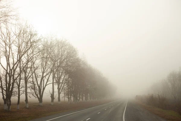 Fotoğraf İran 'da seyahat ederken çekildi.