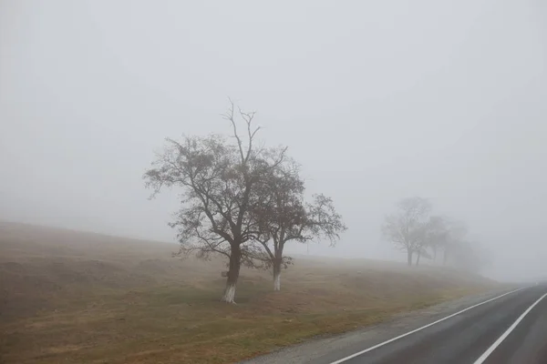 Foto Tirada Enquanto Viajava Irã — Fotografia de Stock