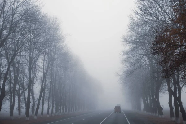 Photo Taken While Traveling Iran — Stock Photo, Image