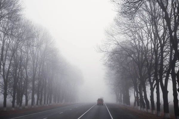Fotoğraf İran 'da seyahat ederken çekildi.