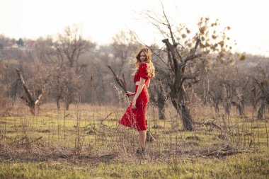 Yakışıklı şık adam puro içiyor..