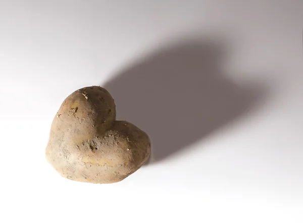 Heart shaped potato — Stock Photo, Image