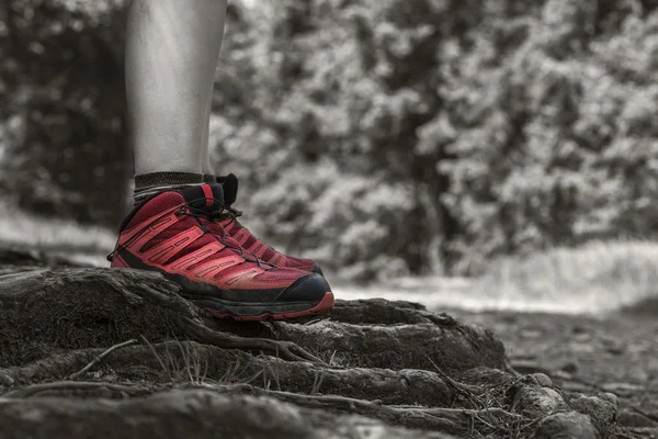 Standing on a rough terrain — Stock Photo, Image