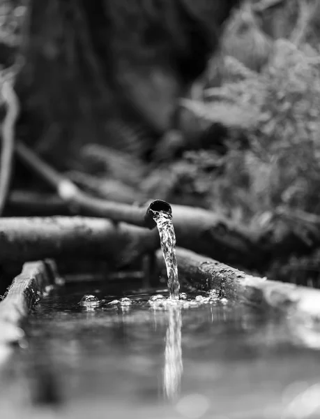 Вода из пластиковой трубы — стоковое фото