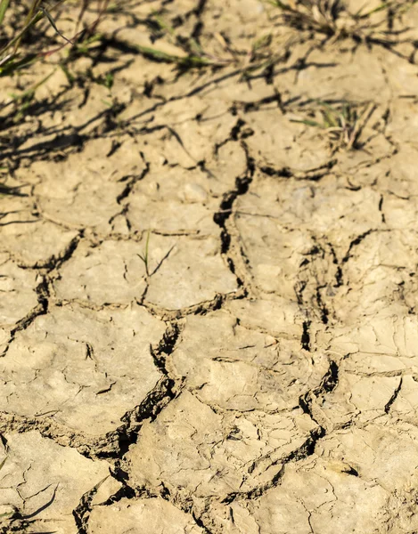 Tierra muy seca sin lluvia . — Foto de Stock