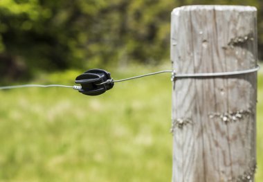 Sığır için plastik tel insolator