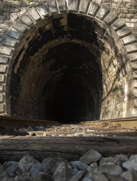 Yol içine tren tünel — Stok fotoğraf