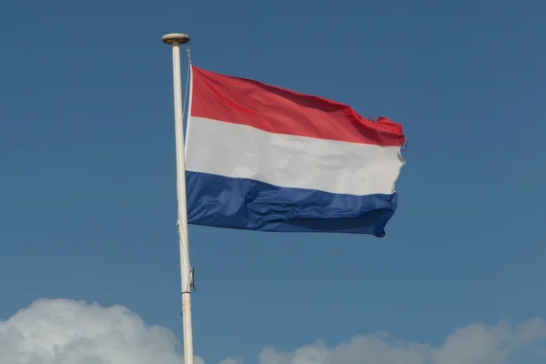 Krásná francouzská vlajka mávání ve větru pod modrou oblohou — Stock fotografie