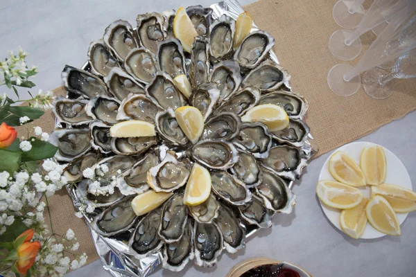 冰和柠檬白盘子里的新鲜牡蛎 — 图库照片