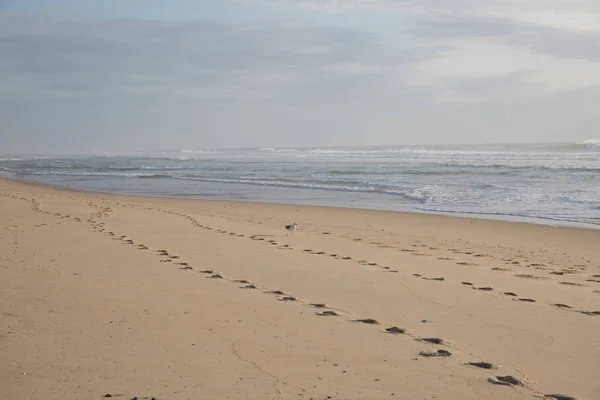Goły ślady na piasku na plaży — Zdjęcie stockowe