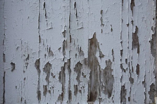 Risse auf bemalten Brettern. Rissige Farbe an der Wand. — Stockfoto