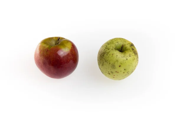 Two apple in white, red and green together — Stock Photo, Image