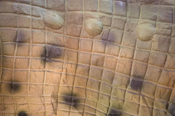 Marine reptile skin to make background