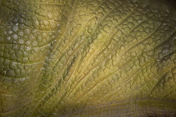 skin animal, reptile or batrachian texture for background