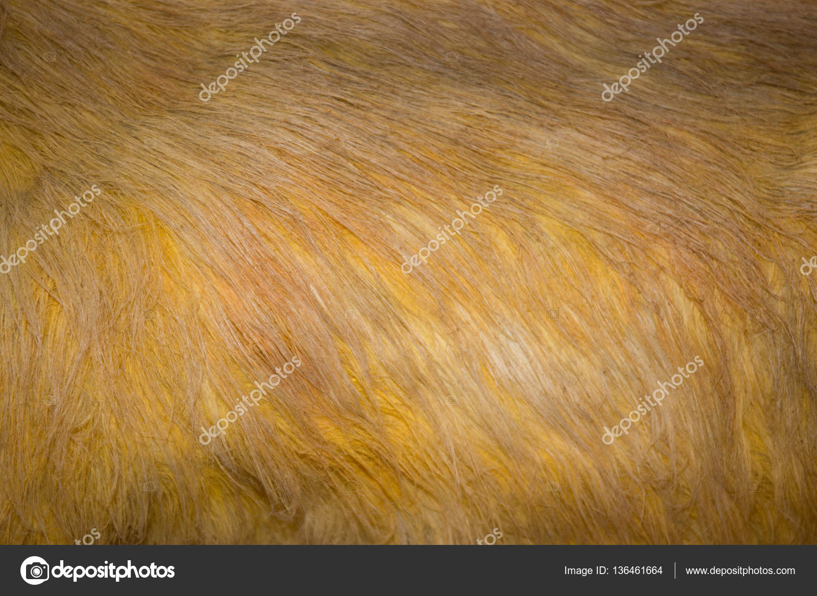 Pelos De Animais De Fundo Para Papel De Parede Fotografias De