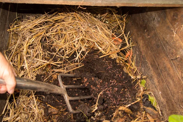 Ökologischer Ansatz hat seinen eigenen Kompost am Boden seines Gartens — Stockfoto
