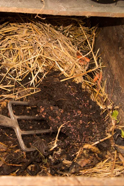 Ein handgemachter Kompost mit Stroh und Erde — Stockfoto