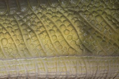 Bir arka plan veya sürüngen için vahşi bir hayvan deri detay duvar kağıdı