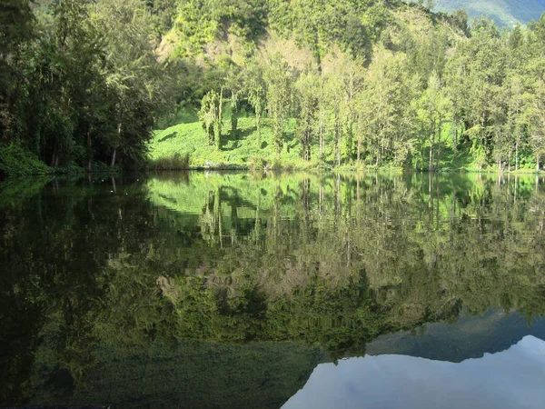 Paisagem de montanha magnífica ou a floresta reflete-se no lago — Fotografia de Stock