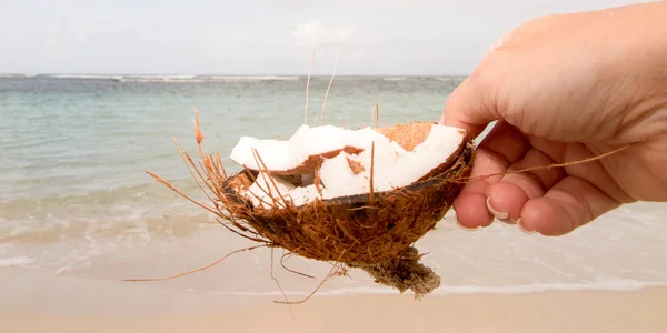 उष्णकटिबंधीय वातावरण में अच्छा ताजा नारियल का दृश्य बंद करें — स्टॉक फ़ोटो, इमेज