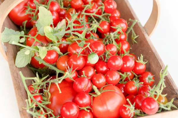 Tomates cereja e seus primos grandes juntos em uma base de madeira — Fotografia de Stock