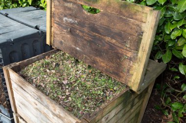 bitkilerle dolu bahçe composter