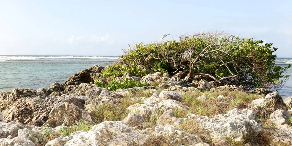 Mountain landscape with sea view — Stock Photo, Image